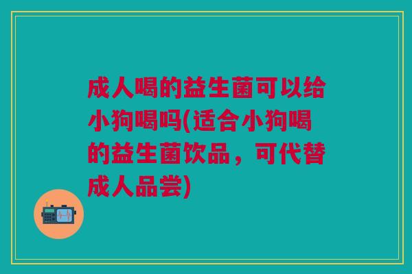 成人喝的益生菌可以给小狗喝吗(适合小狗喝的益生菌饮品,可代替成人品尝)