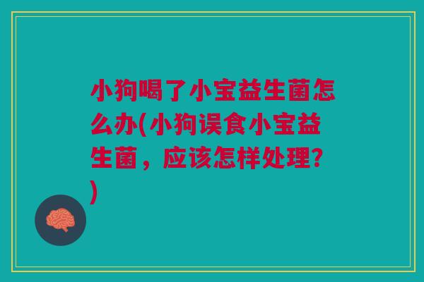 小狗喝了小宝益生菌怎么办(小狗误食小宝益生菌,应该怎样处理?)