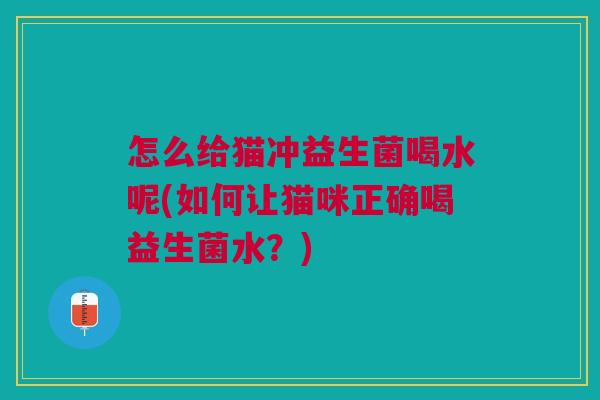怎么给猫冲益生菌喝水呢(如何让猫咪正确喝益生菌水？)