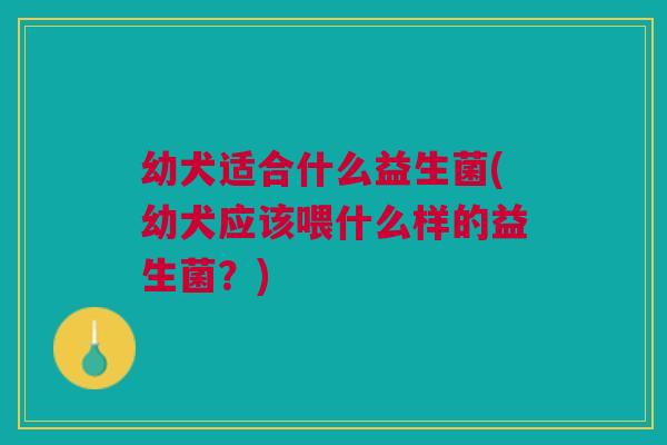 幼犬适合什么益生菌(幼犬应该喂什么样的益生菌?)