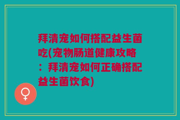 拜清宠如何搭配益生菌吃(宠物肠道健康攻略:拜清宠如何正确搭配益生菌饮食)