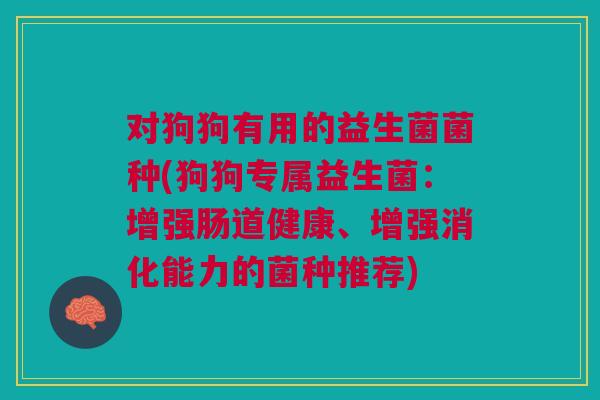 对狗狗有用的益生菌菌种(狗狗专属益生菌:增强肠道健康、增强消化能力的菌种推荐)