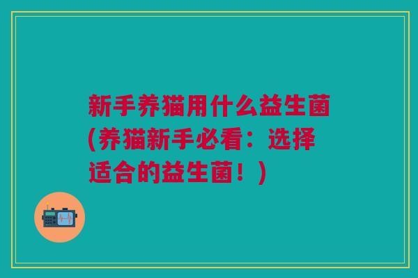 新手养猫用什么益生菌(养猫新手必看:选择适合的益生菌!)