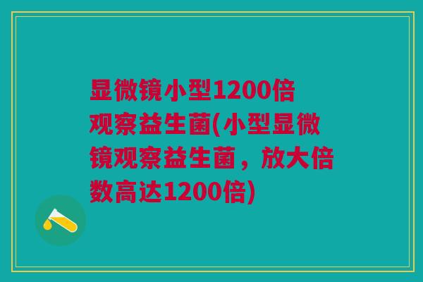 显微镜小型1200倍观察益生菌(小型显微镜观察益生菌,放大倍数高达1200倍)