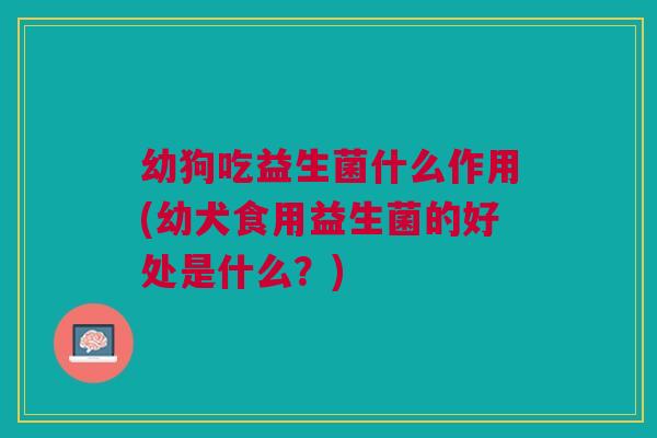 幼狗吃益生菌什么作用(幼犬食用益生菌的好处是什么?)