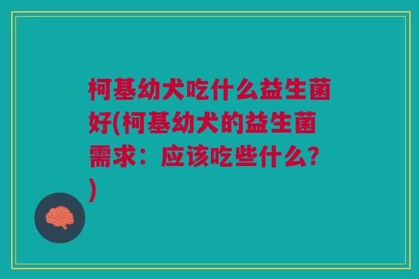 柯基幼犬吃什么益生菌好(柯基幼犬的益生菌需求:应该吃些什么?)