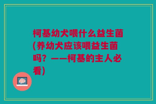 柯基幼犬喂什么益生菌(养幼犬应该喂益生菌吗?——柯基的主人必看) 柯基幼犬喂什么益生菌(养幼犬应该喂益生菌吗?——柯基的主人必看)