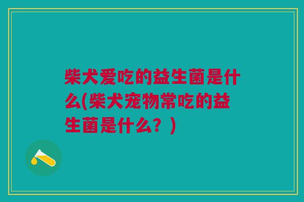 柴犬爱吃的益生菌是什么(柴犬宠物常吃的益生菌是什么?)