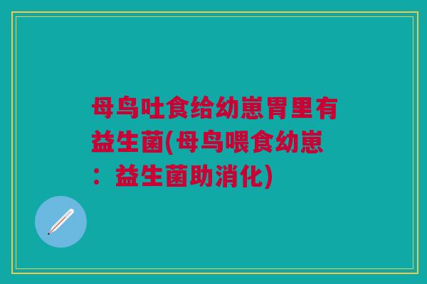 母鸟吐食给幼崽胃里有益生菌(母鸟喂食幼崽:益生菌助消化) 母鸟吐食给幼崽胃里有益生菌(母鸟喂食幼崽:益生菌助消化)