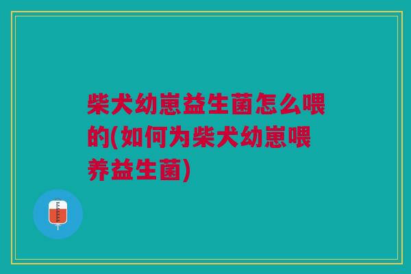 柴犬幼崽益生菌怎么喂的(如何为柴犬幼崽喂养益生菌)