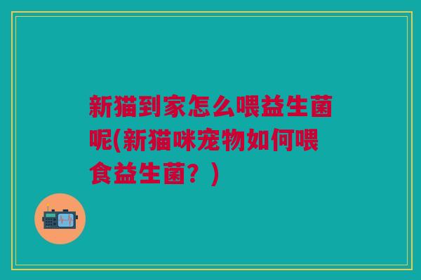 新猫到家怎么喂益生菌呢(新猫咪宠物如何喂食益生菌?) 新猫到家怎么喂益生菌呢(新猫咪宠物如何喂食益生菌?)