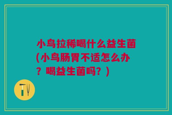 小鸟拉稀喝什么益生菌(小鸟肠胃不适怎么办?喝益生菌吗?)