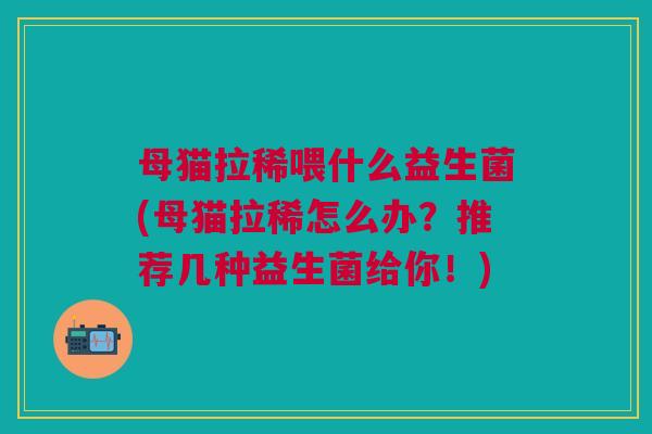 母猫拉稀喂什么益生菌(母猫拉稀怎么办?推荐几种益生菌给你!)