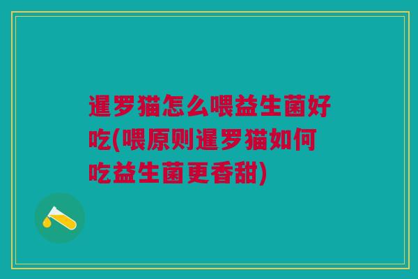 暹罗猫怎么喂益生菌好吃(喂原则暹罗猫如何吃益生菌更香甜) 暹罗猫怎么喂益生菌好吃(喂原则暹罗猫如何吃益生菌更香甜)