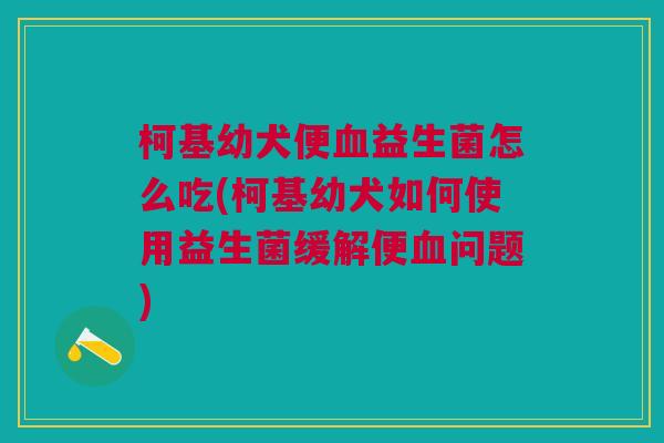 柯基幼犬便血益生菌怎么吃(柯基幼犬如何使用益生菌缓解便血问题)