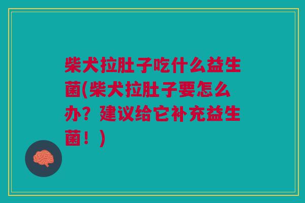 柴犬拉肚子吃什么益生菌(柴犬拉肚子要怎么办?建议给它补充益生菌!)