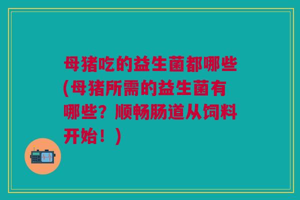 母猪吃的益生菌都哪些(母猪所需的益生菌有哪些?顺畅肠道从饲料开始!) 母猪吃的益生菌都哪些(母猪所需的益生菌有哪些?顺畅肠道从饲料开始!)