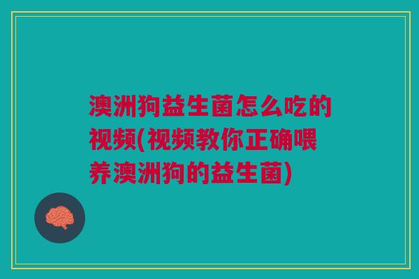 澳洲狗益生菌怎么吃的视频(视频教你正确喂养澳洲狗的益生菌)