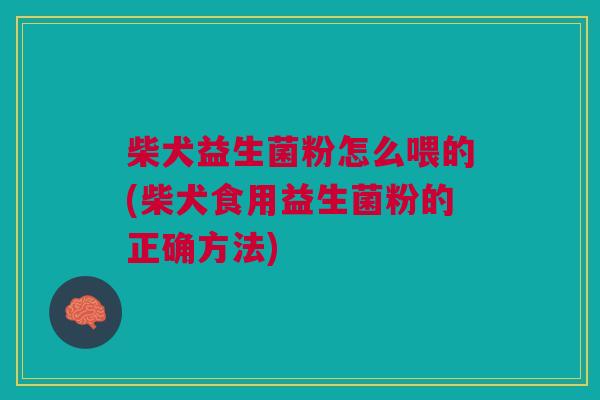 柴犬益生菌粉怎么喂的(柴犬食用益生菌粉的正确方法)