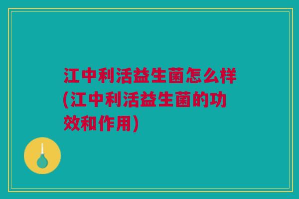 江中利活益生菌怎么样(江中利活益生菌的功效和作用)