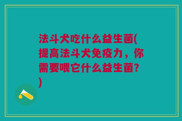 法斗犬吃什么益生菌(提高法斗犬免疫力,你需要喂它什么益生菌?)