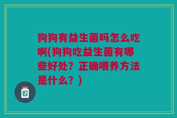 狗狗有益生菌吗怎么吃啊(狗狗吃益生菌有哪些好处?正确喂养方法是什么?)