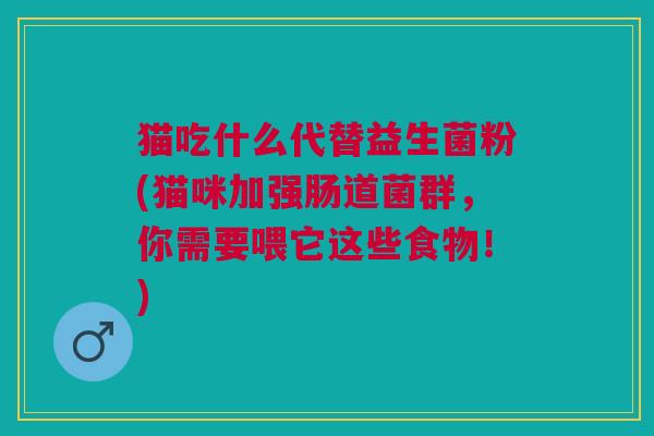猫吃什么代替益生菌粉(猫咪加强肠道菌群,你需要喂它这些食物!) 猫吃什么代替益生菌粉(猫咪加强肠道菌群,你需要喂它这些食物!)
