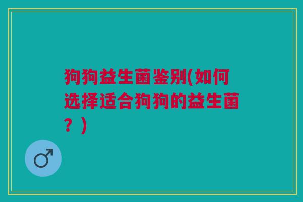 狗狗益生菌鉴别(如何选择适合狗狗的益生菌?)