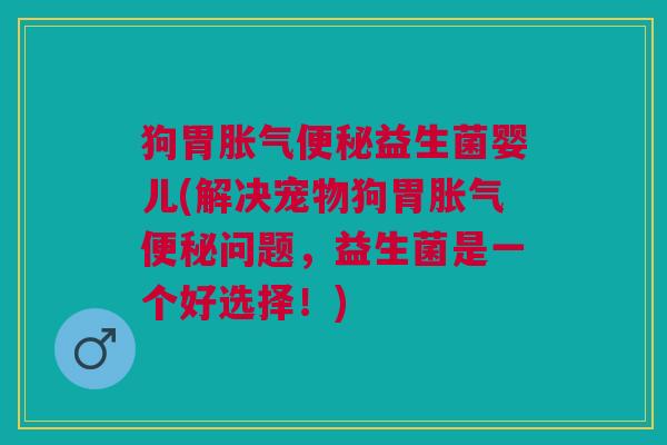 狗胃胀气便秘益生菌婴儿(解决宠物狗胃胀气便秘问题,益生菌是一个好选择!)