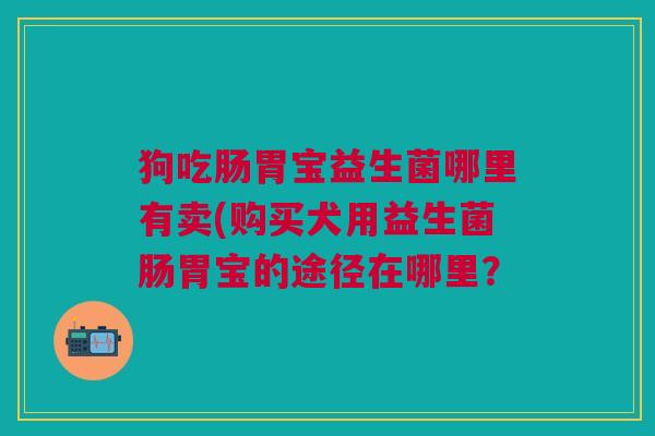 狗吃肠胃宝益生菌哪里有卖(购买犬用益生菌肠胃宝的途径在哪里? 狗吃肠胃宝益生菌哪里有卖(购买犬用益生菌肠胃宝的途径在哪里?