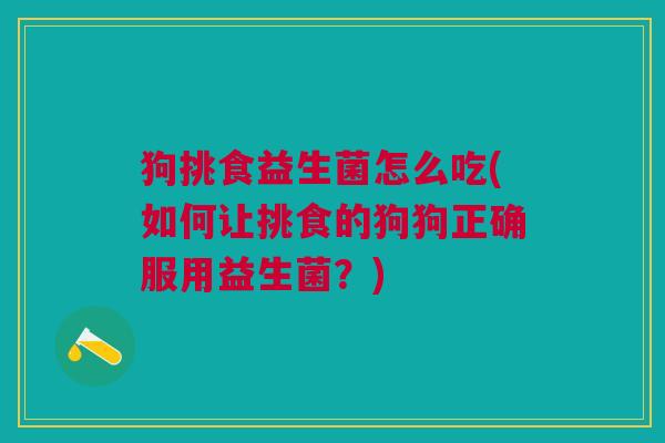 狗挑食益生菌怎么吃(如何让挑食的狗狗正确服用益生菌?)