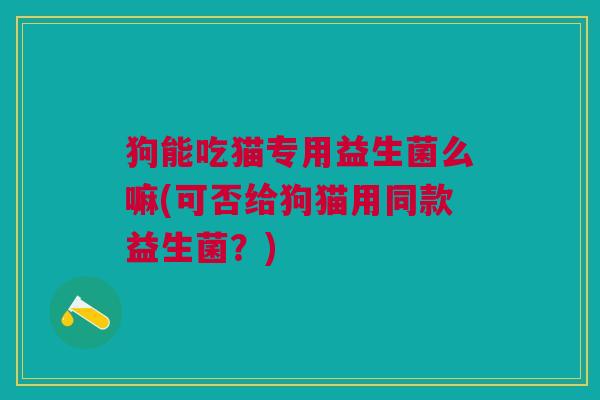 狗能吃猫专用益生菌么嘛(可否给狗猫用同款益生菌?)