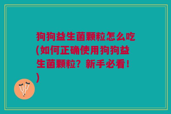 狗狗益生菌颗粒怎么吃(如何正确使用狗狗益生菌颗粒？新手必看！)