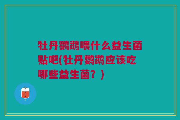 牡丹鹦鹉喂什么益生菌贴吧(牡丹鹦鹉应该吃哪些益生菌?) 牡丹鹦鹉喂什么益生菌贴吧(牡丹鹦鹉应该吃哪些益生菌?)