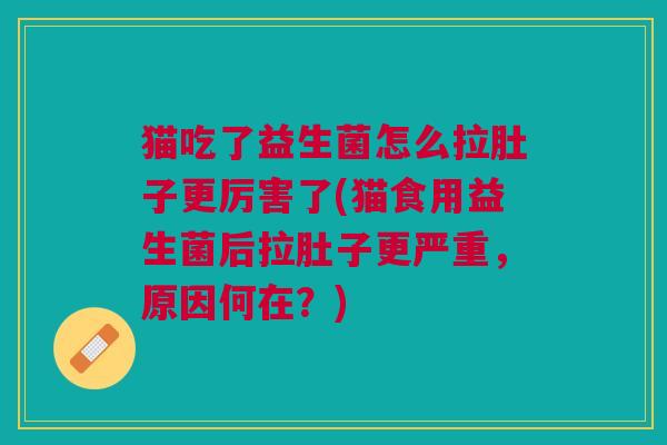 猫吃了益生菌怎么拉肚子更厉害了(猫食用益生菌后拉肚子更严重,原因何在?)