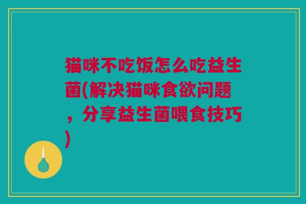 猫咪不吃饭怎么吃益生菌(解决猫咪问题,分享益生菌喂食技巧) 猫咪不吃饭怎么吃益生菌(解决猫咪问题,分享益生菌喂食技巧)