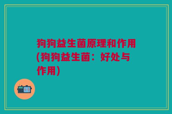 狗狗益生菌原理和作用(狗狗益生菌：好处与作用)