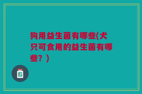 狗用益生菌有哪些(犬只可食用的益生菌有哪些?) 狗用益生菌有哪些(犬只可食用的益生菌有哪些?)