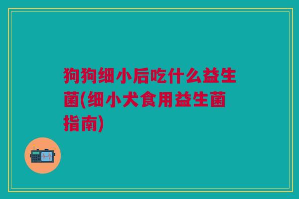 狗狗细小后吃什么益生菌(细小犬食用益生菌指南)