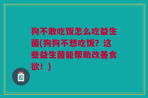 狗不敢吃饭怎么吃益生菌(狗狗不想吃饭？这些益生菌能帮助改善食欲！)