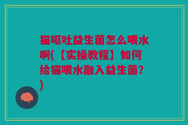 猫益生菌怎么喂水啊(【实操教程】如何给猫喂水融入益生菌?) 猫益生菌怎么喂水啊(【实操教程】如何给猫喂水融入益生菌?)