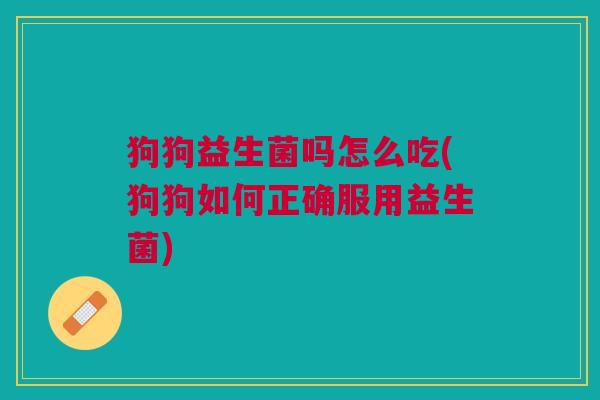 狗狗益生菌吗怎么吃(狗狗如何正确服用益生菌)