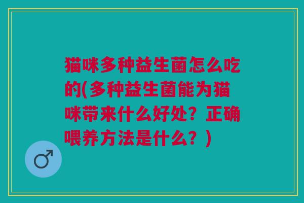 猫咪多种益生菌怎么吃的(多种益生菌能为猫咪带来什么好处?正确喂养方法是什么?)