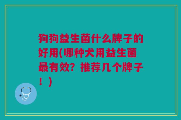 狗狗益生菌什么牌子的好用(哪种犬用益生菌最有效?推荐几个牌子!)