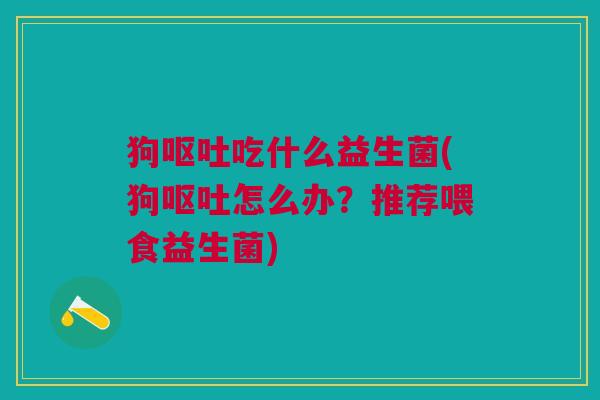 狗呕吐吃什么益生菌(狗呕吐怎么办?推荐喂食益生菌)