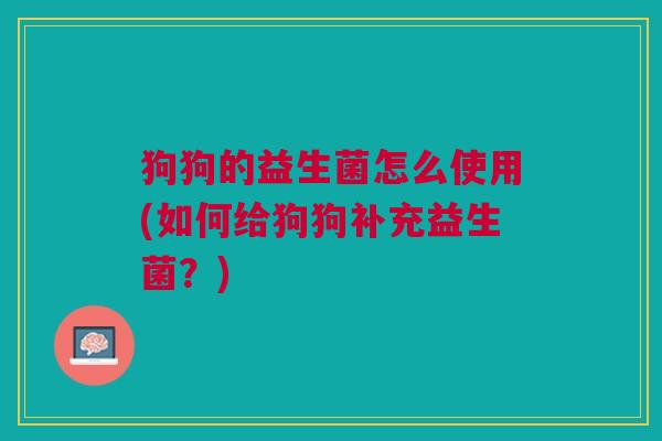 狗狗的益生菌怎么使用(如何给狗狗补充益生菌?)