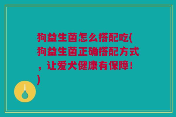 狗益生菌怎么搭配吃(狗益生菌正确搭配方式,让爱犬健康有保障!)