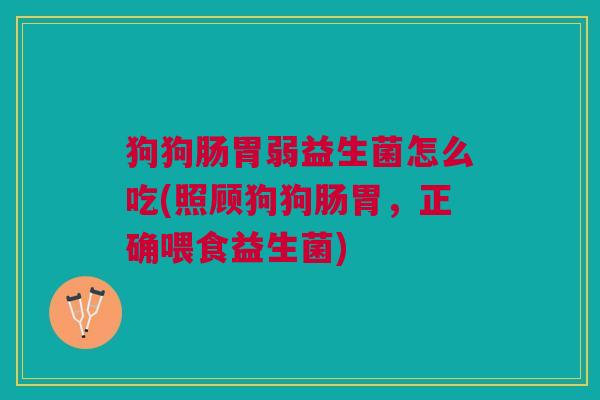 狗狗肠胃弱益生菌怎么吃(照顾狗狗肠胃,正确喂食益生菌) 狗狗肠胃弱益生菌怎么吃(照顾狗狗肠胃,正确喂食益生菌)
