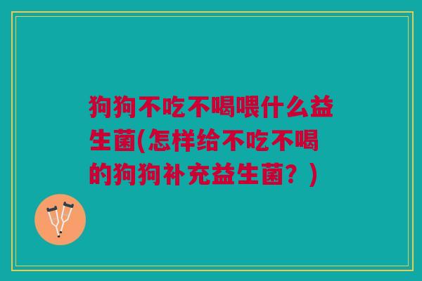 狗狗不吃不喝喂什么益生菌(怎样给不吃不喝的狗狗补充益生菌?) 狗狗不吃不喝喂什么益生菌(怎样给不吃不喝的狗狗补充益生菌?)