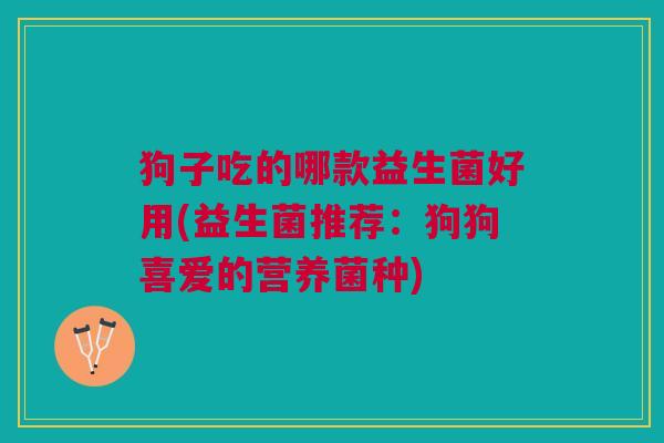 狗子吃的哪款益生菌好用(益生菌推荐:狗狗喜爱的营养菌种)